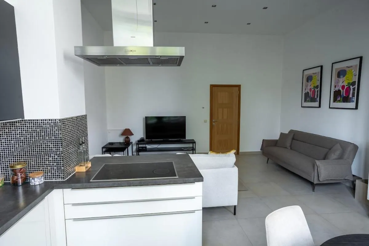Cozy And Luxurious Apartment In Brussels, Laeken